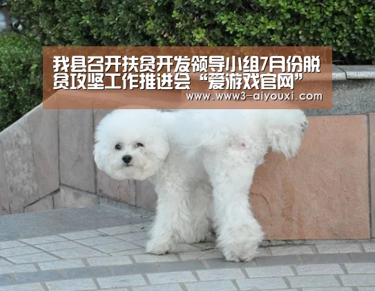 我县召开扶贫开发领导小组7月份脱贫攻坚工作推进会“爱游戏官网”(图2) 爱游戏体育